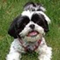 Join facebook to connect with dfgdfgdfgdfg dfgdfg and others you may know. Amy Filmore Ameliabedelia On Buzzfeed
