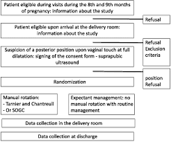 Image result for Manual Rotation in Occipitoposterior Presentation