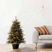 It is christmas day, and you may or may not be plucking presents from under the tree, opening them to find a mix of things you really want and a whether or not you celebrate christmas, you could probably appreciate some of the weird, impressive, unconventional christmas trees we've been. 3 Foot Pre Lit Christmas Trees You Ll Love In 2021 Wayfair