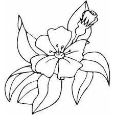 Maybe you would like to learn more about one of these? Cherry Blossom Coloring Sheet