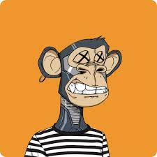 Bored Ape Yacht Club Nft And Collectibles Coingecko