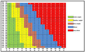 Body Mass Index Chart By Age Easybusinessfinance Net