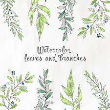 水彩画の葉と枝を無料でダウンロード Watercolor Leaves Vector Free Branch Vector