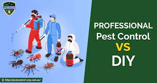 Professional pest control or diy pest control. Professional Pest Control Vs Diy What Should You Choose