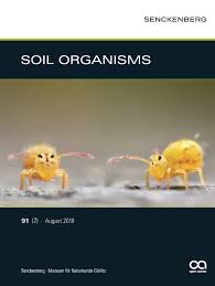 The lungs are the main part of the respiratory system. 2019 Soil Organisms Senckenberg Gesellschaft Fur Naturforschung
