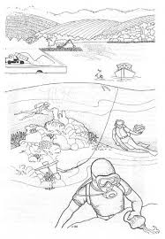 ***we are hoping to get our coloring pages converted to html5 so our online coloring tool may work again, but currently all pages can still be downloaded and printed.***hey all you creative scientists! Printable Ecosystem Coloring Pages Cooloring Com Coloring Home