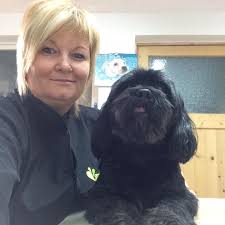 Hundesalon und Tierheilpraxis am Hainich