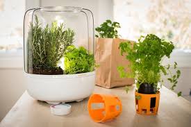 We are canada's #1 source for all of your grow light and hid light hydroponic systems. 4 Minimal Grow Lights That Make Me Wish I Were Green Core77