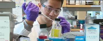 5 College Mashups That Make Great Majors