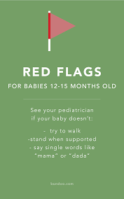 This is my daughter at 15.5 months old. Developmental Milestones Red Flags For 12 15 Months Old 15 Month Old Development 15 Month Old Milestones Developmental Milestones