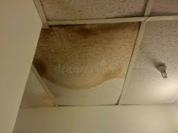 As a matter of first. 1 455 Ceiling Water Damage Photos Free Royalty Free Stock Photos From Dreamstime