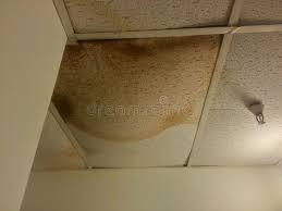 Remember to put on safety glasses before you start working to avoid getting dust in your eyes. 1 622 Ceiling Water Damage Photos Free Royalty Free Stock Photos From Dreamstime