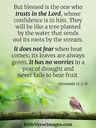 Bowl of fruit or fruit tree memory verse chart: Jeremiah 17 7 8 Bible Verse For Stress Bible Verse Images