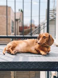 I Was From The City She Was From The Outside Pin On Cuteness