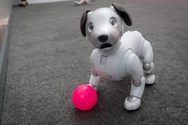 We did not find results for: I Played With Sony S New Aibo Robot Dog And I Miss It Already The Verge
