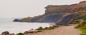 Top 18 Locations de Vacances & Maisons &agrave; Wimereux ᐅ R&eacute;servation imm&eacute;diate