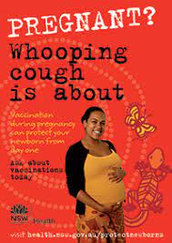 Pregnant Women Protect Your Newborn From Whooping Cough Immunisation Programs