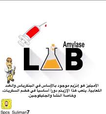 الأميليز هو إنزيم موجود بالأساس في البنكرياس والغدد اللعابية يلعب هذا الإزينم دورا أساسيا في هضم السكريات وخاصة النشا والجليكوجي Lab Convenience Store Products