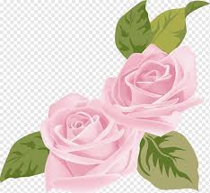 Check spelling or type a new query. Pink Flower Pink Roses Love Cdr Flower Arranging Png Pngwing