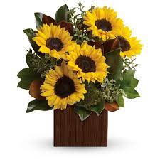 Healthy, hardy plants & flowers for denver. Denver Florist Flower Delivery By Lily Flowers