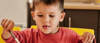 Aunties Helping Hands Daycare