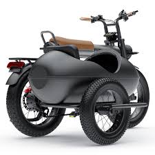 Image result for bicycle sidecar
