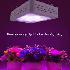 We're a leading supplier of advanced gardening equipment through online, mail order and a national chain of shops. Plant Grow Lamp 600w 60led Grow Light Full Spectrum For Rope Hanger Chainindoor Plant Veg Flower Lamp Greenhouse Plants Growing Lighting 220v Uk Plug 31x6x21cm Buy Online In Antigua And Barbuda At Antigua Desertcart Com