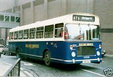 Pin On Buses