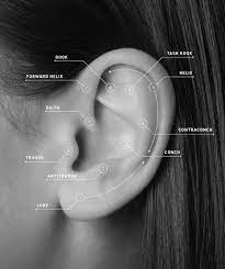 The Best Jewellery Brands For Your Curated Ear Piercings At Every Price Point Buro 24 7 Malaysia