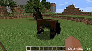 Mules have the same usage as donkeys do. How To Tame And Ride A Mule In Minecraft