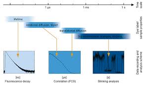 To see the answer to one of the questions listed below, click the arrow next to that question. Time Resolved Photoluminescence Trpl Picoquant