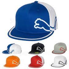 Puma Monoline Fitted Cap Flat Bill Hat New Size S M L Xl 2004 Flat Bill Hats Fitted Caps Hats
