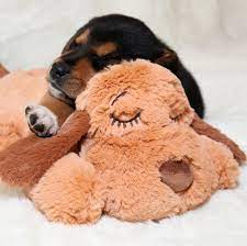 Snuggle puppy heat pack uk. Snuggle Puppy W Quick Uk Delivery In Stock Shop Snuggle Puppies