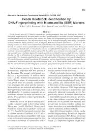 PDF) Peach rootstock identification by DNA-fingerprinting with  microsatellite (SSR) markers