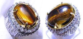 Tim mata harimau aktivis greenpeace mencoba masuk ke dalam konsesi pt. Khasiat Batu Mata Harimau Batu Cincin Batu Permata Cincin Batu