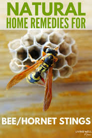 Natural Home Solutions For Bee Stings Remedies For Bee Stings Bee Sting Swelling Bee Sting