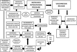 Image result for Cushing Response