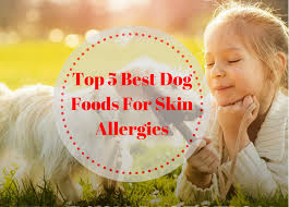 This will help your vet spot some of the more common food allergens. Best Dog Foods For Skin Allergies Top 5 Picks In 2021