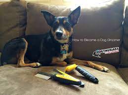 Learn How To Become A Dog Groomer And Start Your Own Dog Grooming Business In The Pet Professional Industry Fi Dog Grooming Dog Grooming Business Dog Groomers