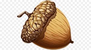 Bellota Dibujo Krita Imagen Png Imagen Transparente Descarga Gratuita Oak leaf, buds and acorn. bellota dibujo krita imagen png