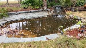 Skimmers help to reduce the need to clean the bottom of your pond as often because they continually skim the surface of the pond, preventing leaves and debris from sinking to the bottom. Is Your Lawn Waterlogged Here S How To Fix It