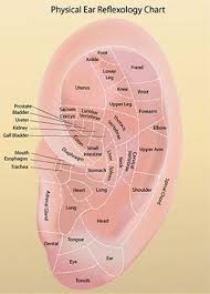 Ear Reflexology Charts Tips For Recognizing A Good Reflexology Ear Chart Ear Reflexology Reflexology Reflexology Chart