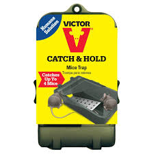 Insect control costs an average of $176 with a typical range between $111 and $261. Victor Multi Catch Live Mouse Trap M333 The Home Depot