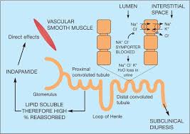 Image result for Indapamide