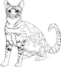 Beautiful coloring pages for kids. Cat To Color For Kids Cats Kids Coloring Pages