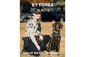 End of watch is a 2012 american action thriller drama film written and directed by david ayer. End Of Watch K 9 Tonka Buckrail Jackson Hole News End Of Watch K 9 Tonka