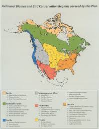 Biomes Found In The United States Pin By Conall On Climate Geography North America History Biomes Ecological Systems