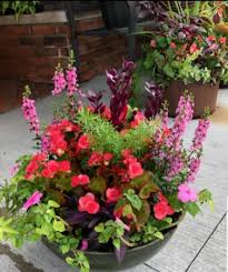In other words, annuals pack a lot of living into a short span of time. Summer Annual Patio Planter In Westerville Oh Talbott S Flowers