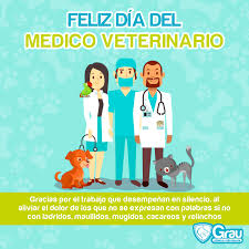 Tus manos atienden a los animales, pero es en tu corazón donde se encuentra la mayor medicina. Clinica Veterinaria Grau Feliz Dia Del Medico Veterinario Agradecemos Su Gran Labor Facebook