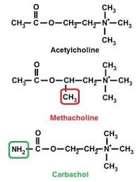 Pin On Epharmacology